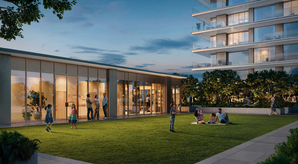 Silva DCH in Dubai 0 (3)S